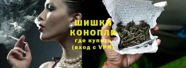 стафф Россошь