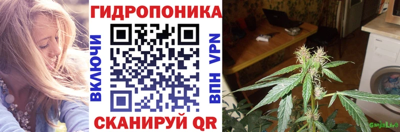 где можно купить наркотик  Ярославль  Бошки Шишки индика 